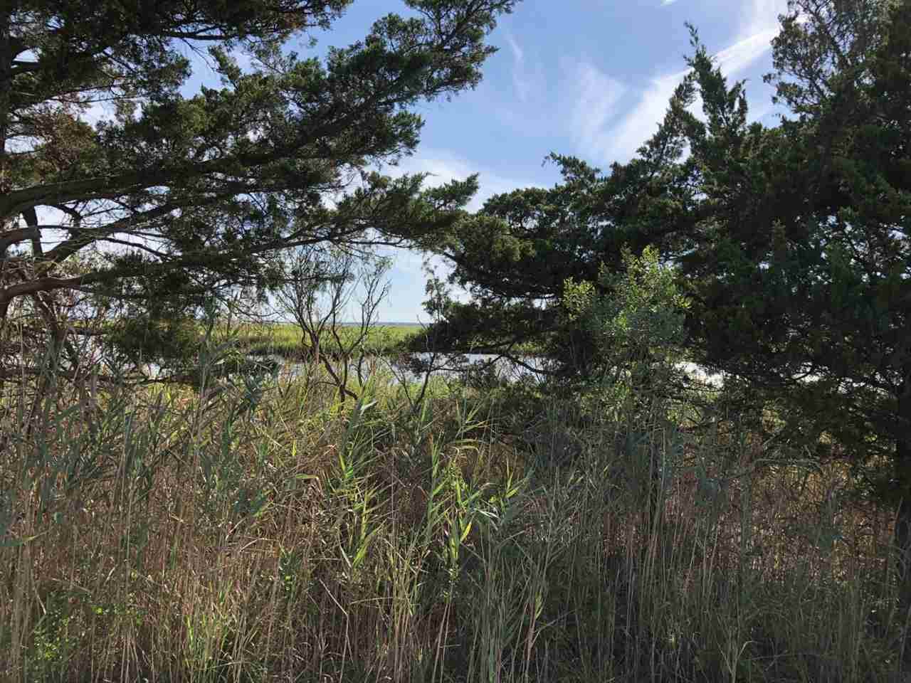 655 Stone Harbor - Photo 1