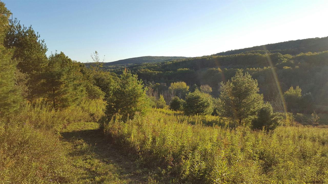 192 Countryman Rd - Photo 1