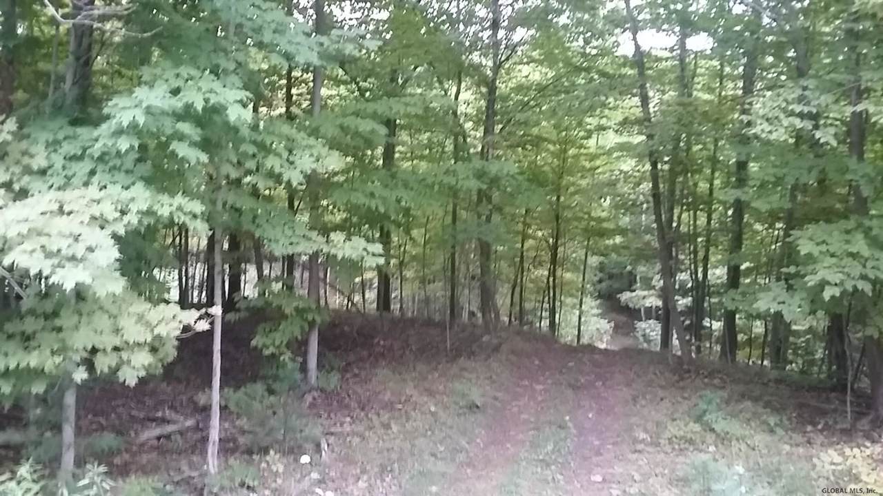 Old Tyler Rd - Photo 1