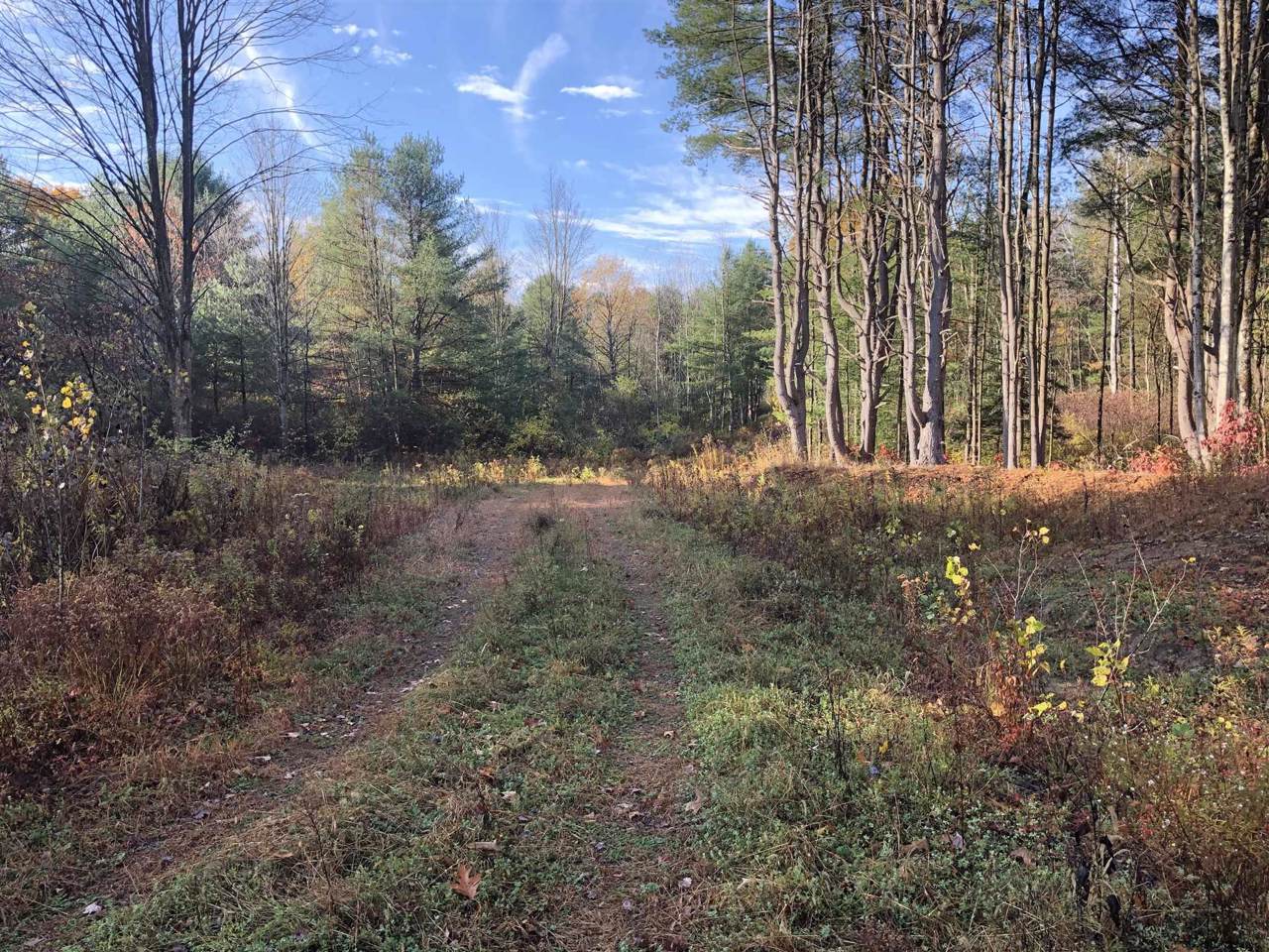 252 Williams Rd - Photo 1
