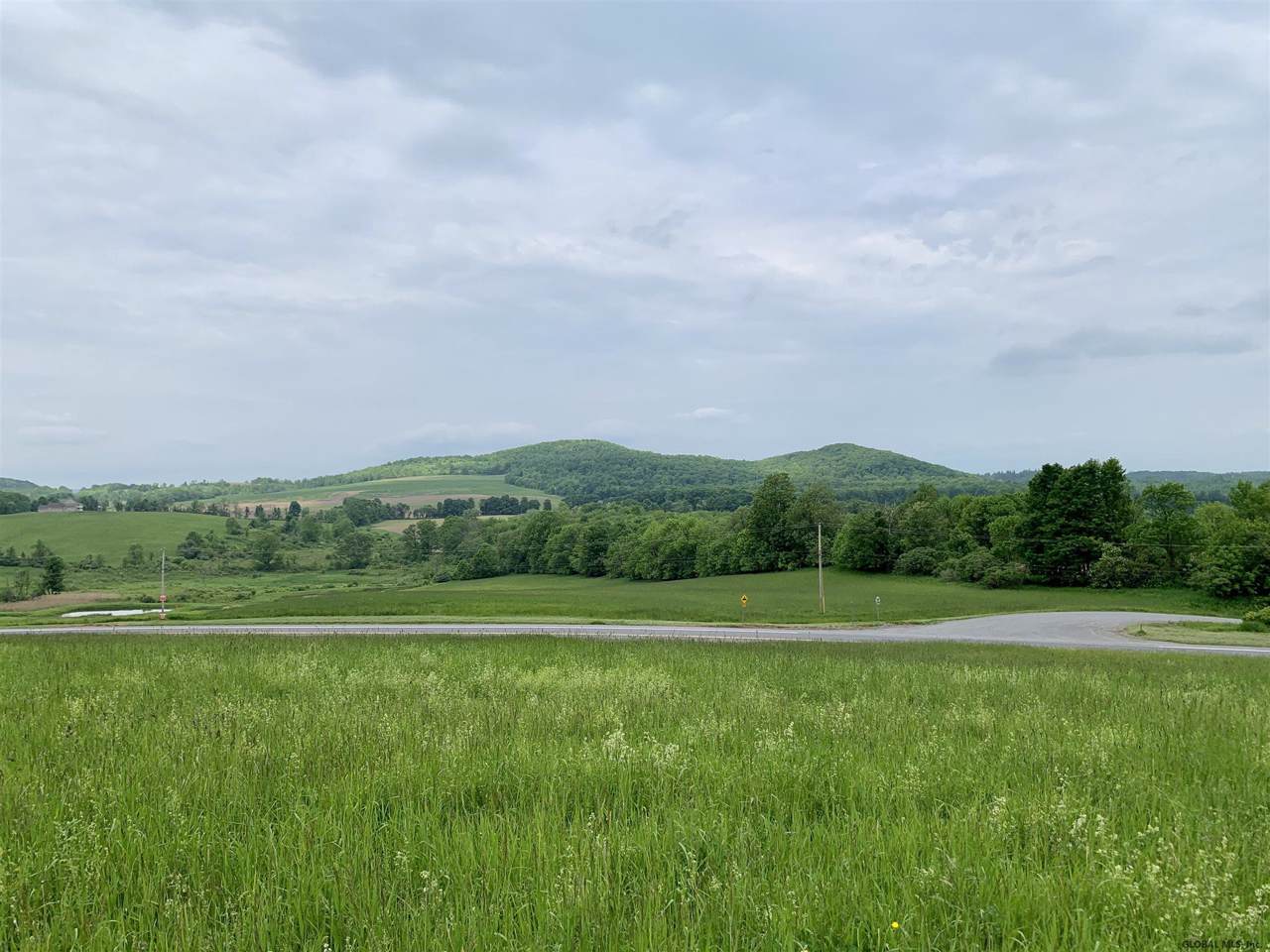 Lot 1 State Rt 145 - Photo 1