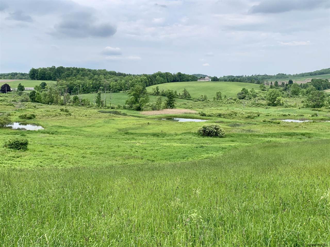 Lot 5 State Rt 145 - Photo 1