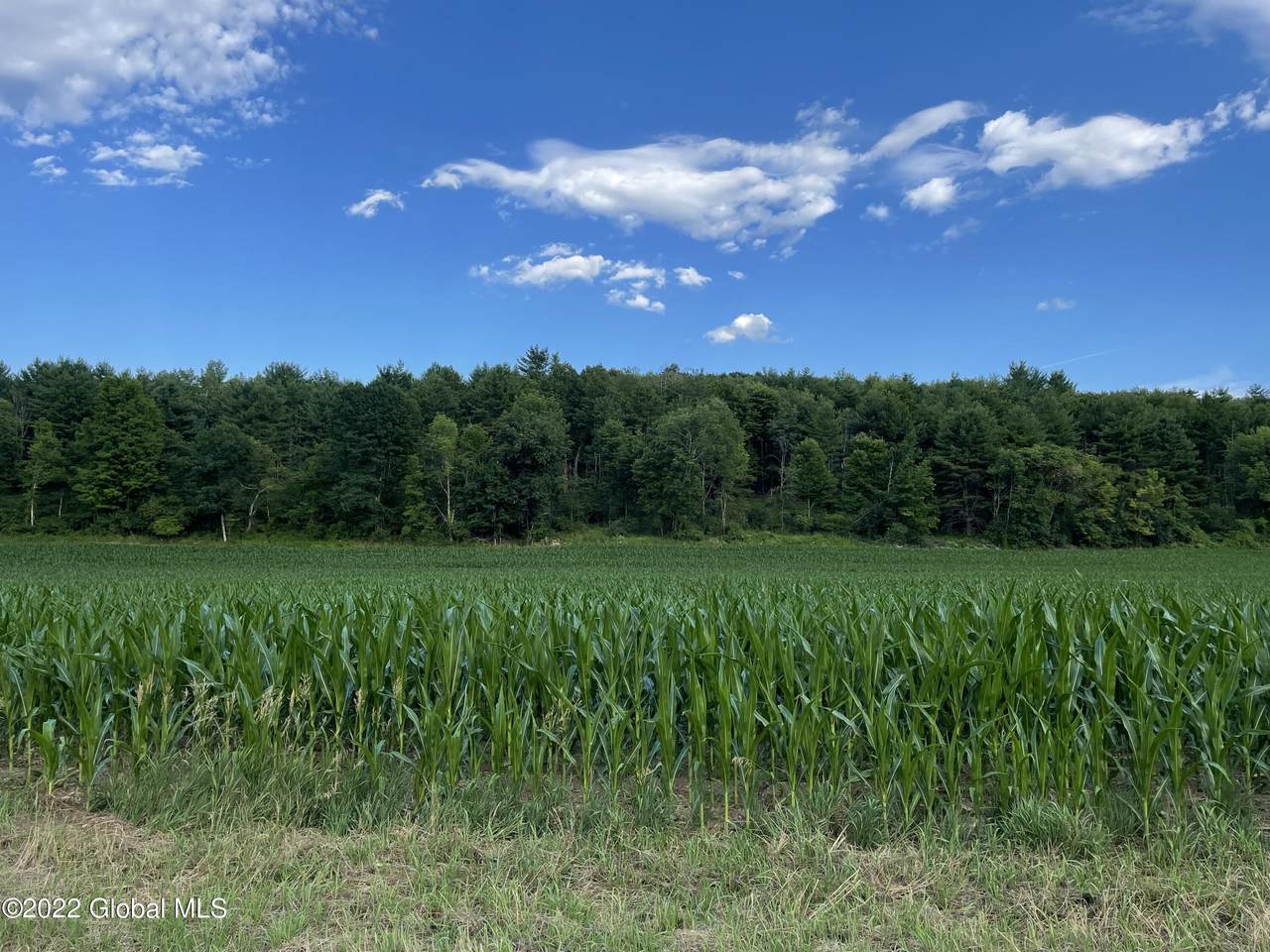 461 King Road - Photo 1