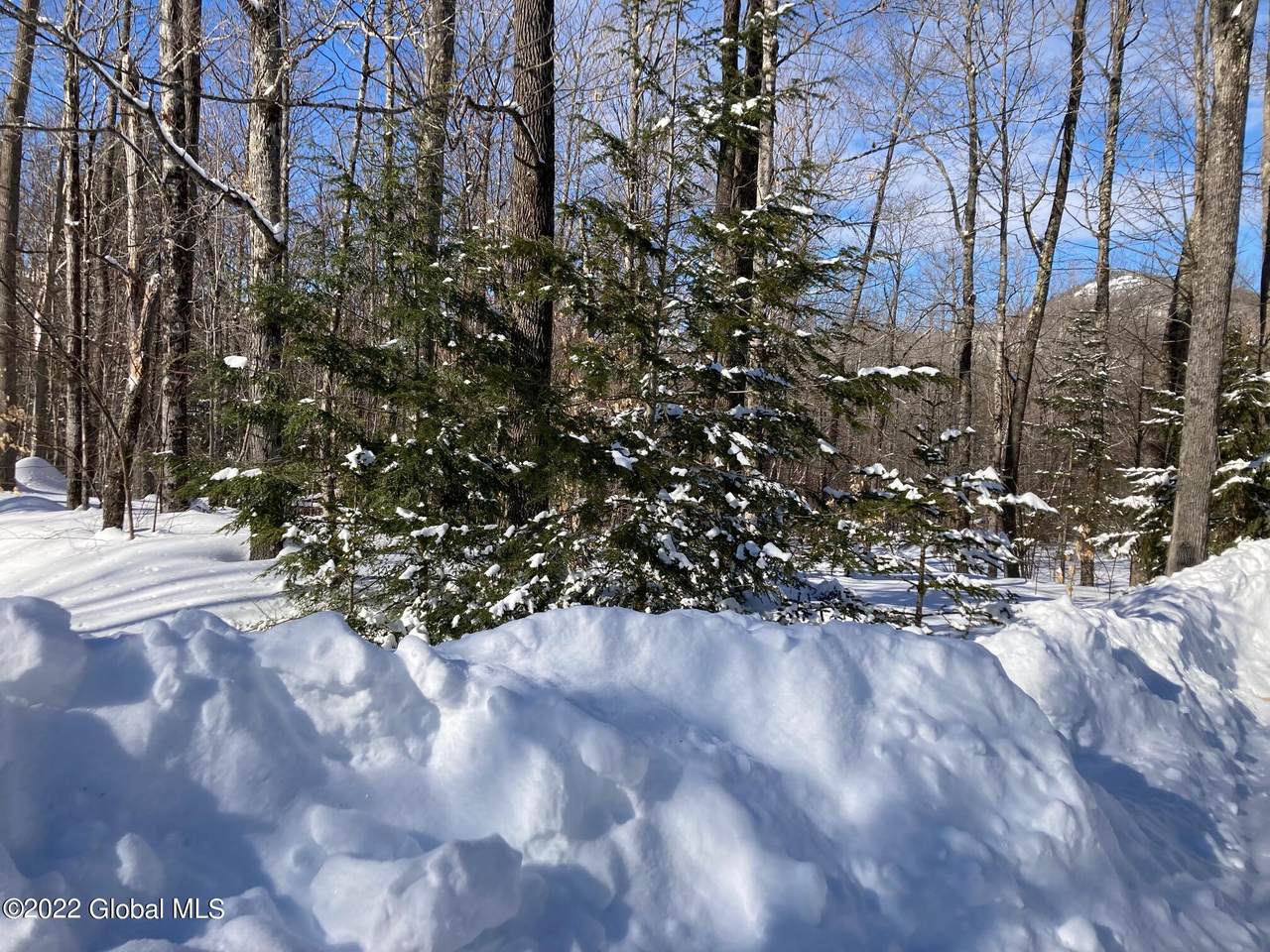 L4618114 Ruby Mountain View Drive - Photo 1