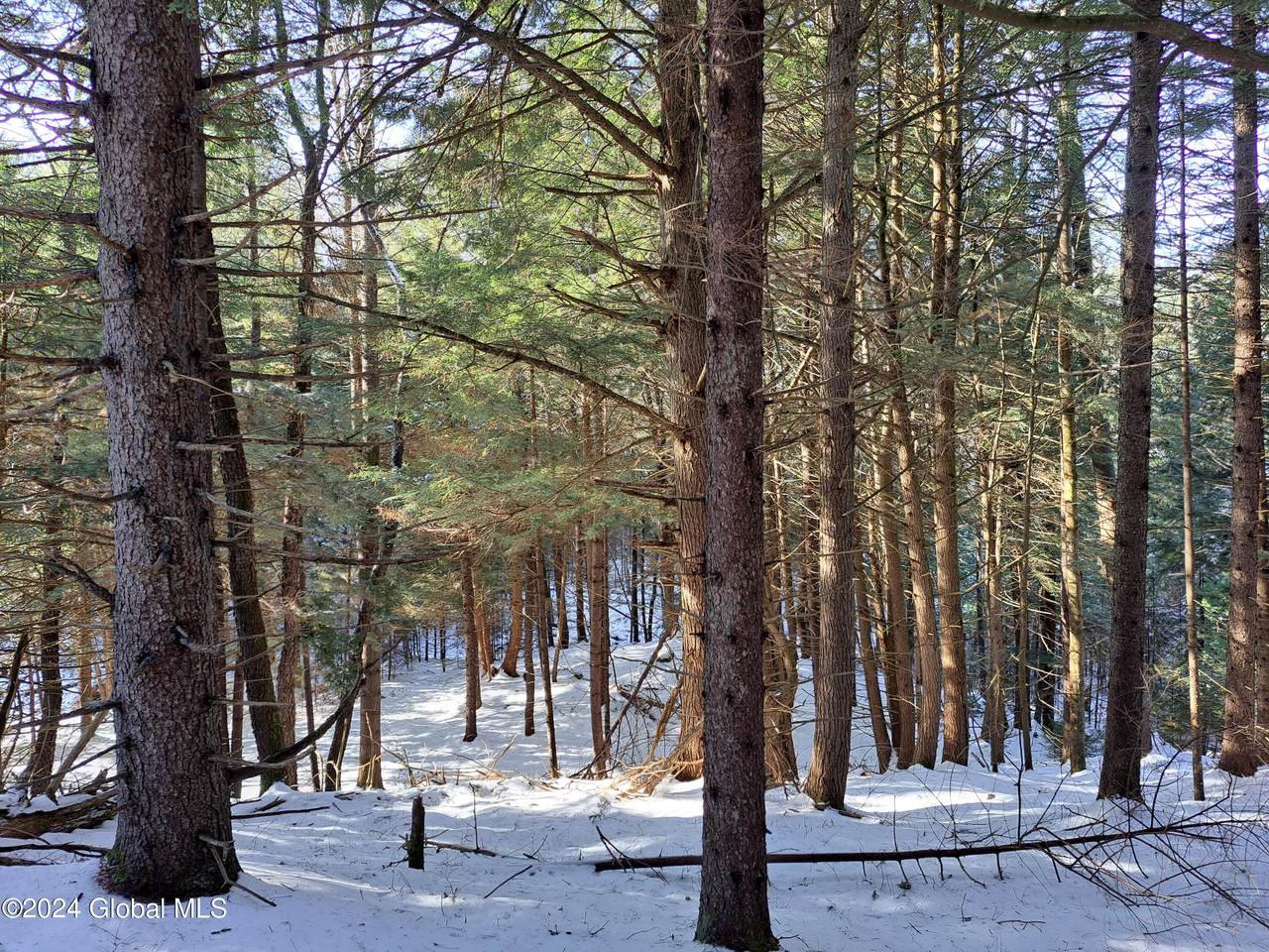 https://bt-photos.global.ssl.fastly.net/capital/1280_boomver_1_202410874-2.jpg