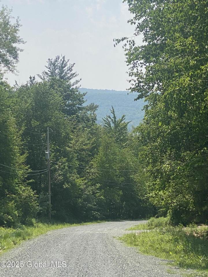L20.44 Robinson Hollow Way - Photo 1