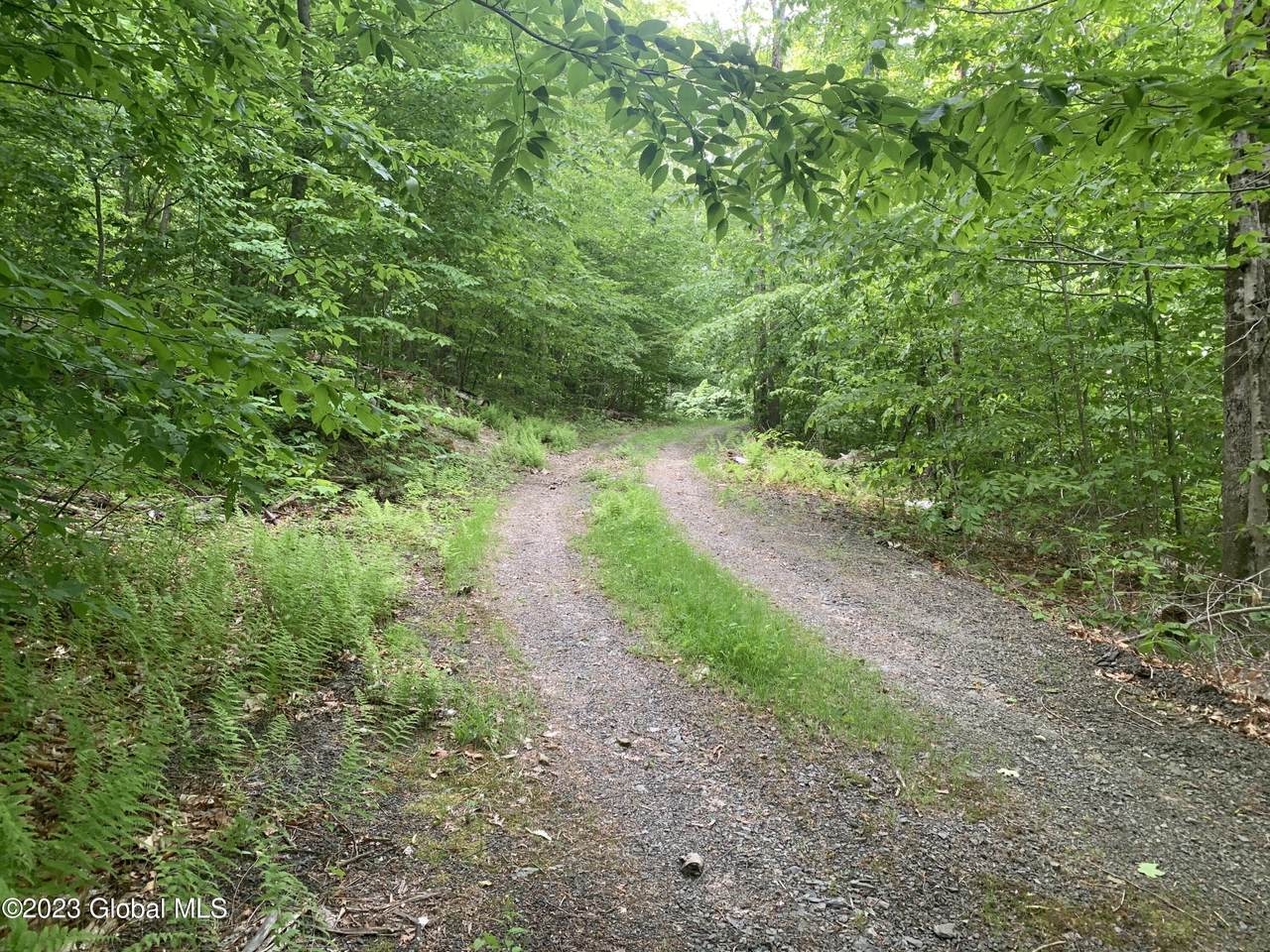https://bt-photos.global.ssl.fastly.net/capital/1280_boomver_1_202521067-2.jpg