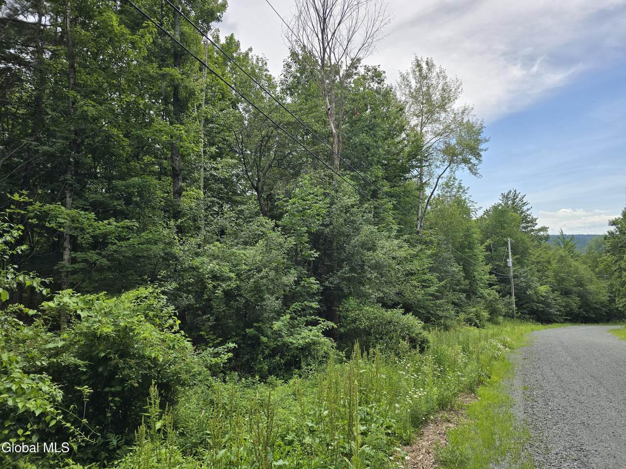 L20.45 Robinson Hollow Way - Photo 1