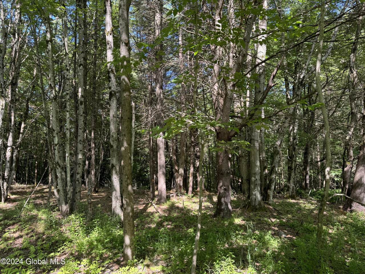 https://bt-photos.global.ssl.fastly.net/capital/1280_boomver_1_202522121-2.jpg