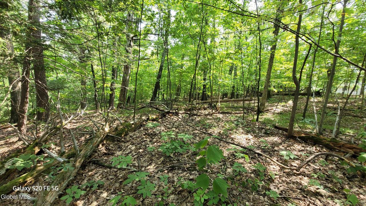 50 Finger Hill Road - Photo 1