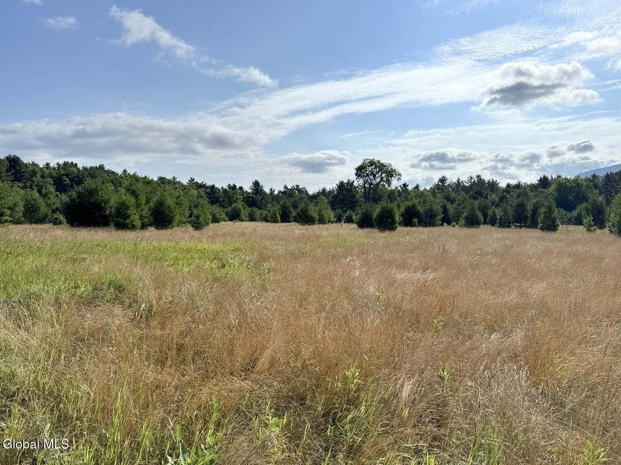 171 Trumbulls Road - Photo 1