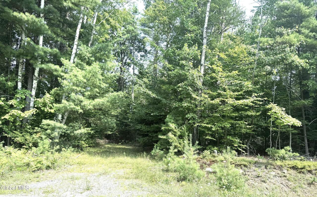 L21 New (Off) County Route 11 - Photo 1