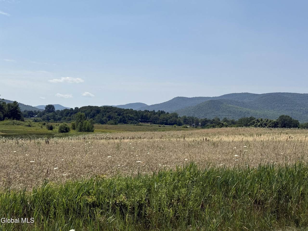 L19.111 Delano Road - Photo 1