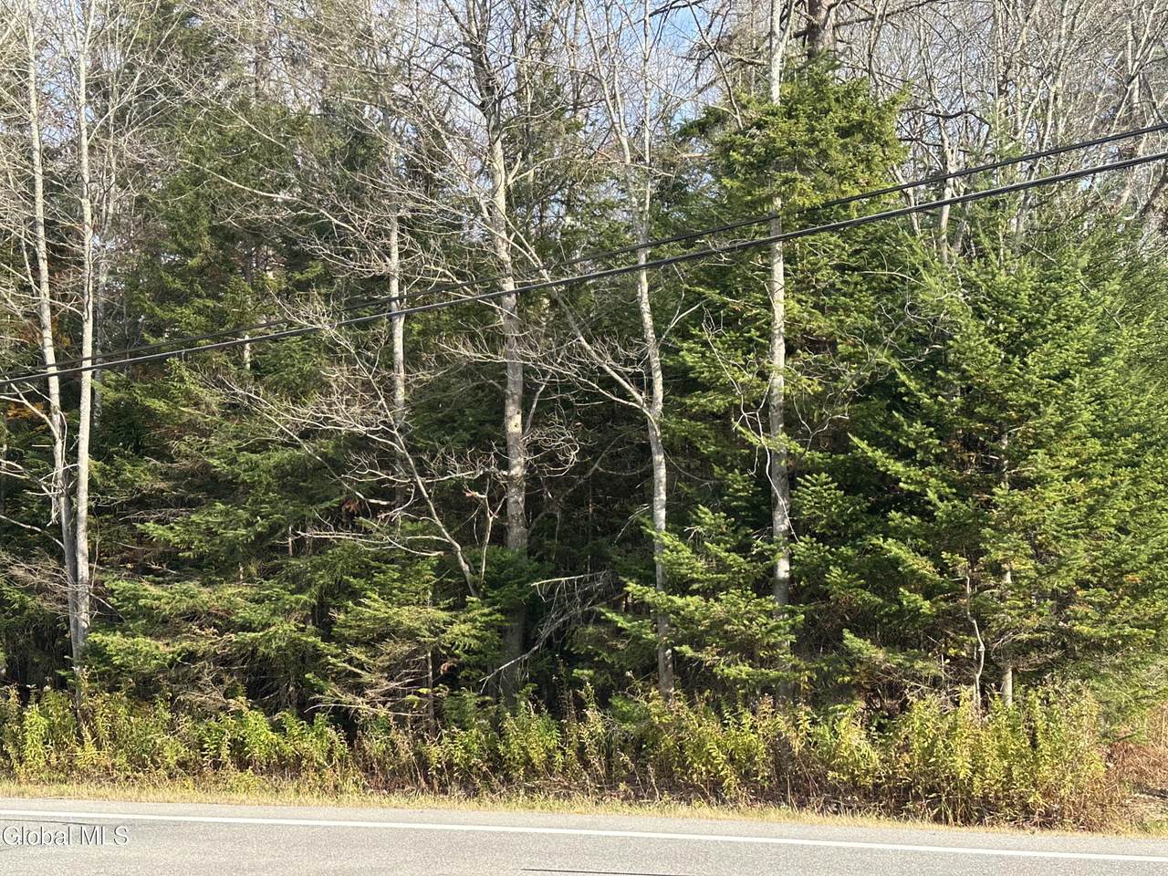 2461 State Highway 10 - Photo 1