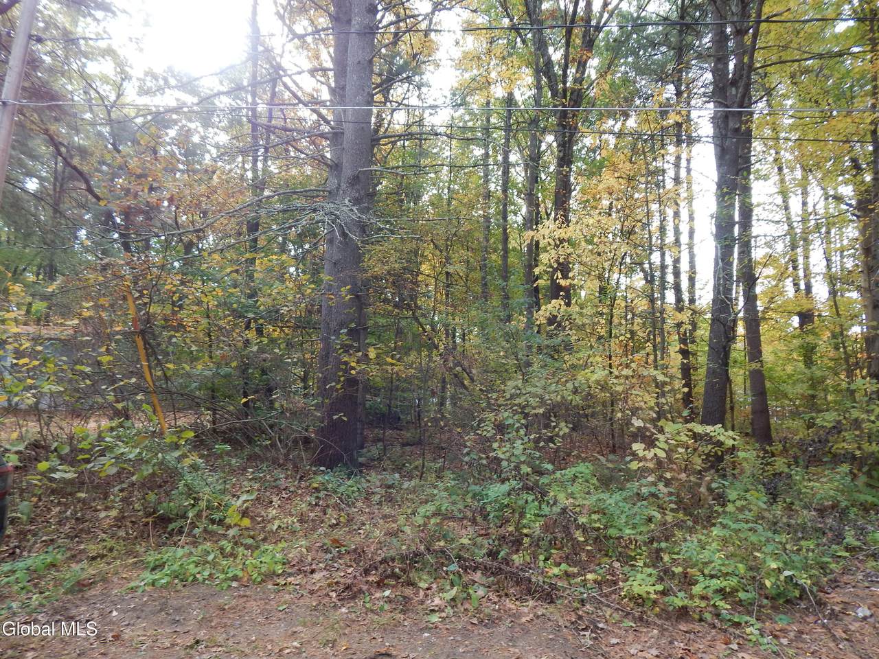 L1 Vincek Lane - Photo 1