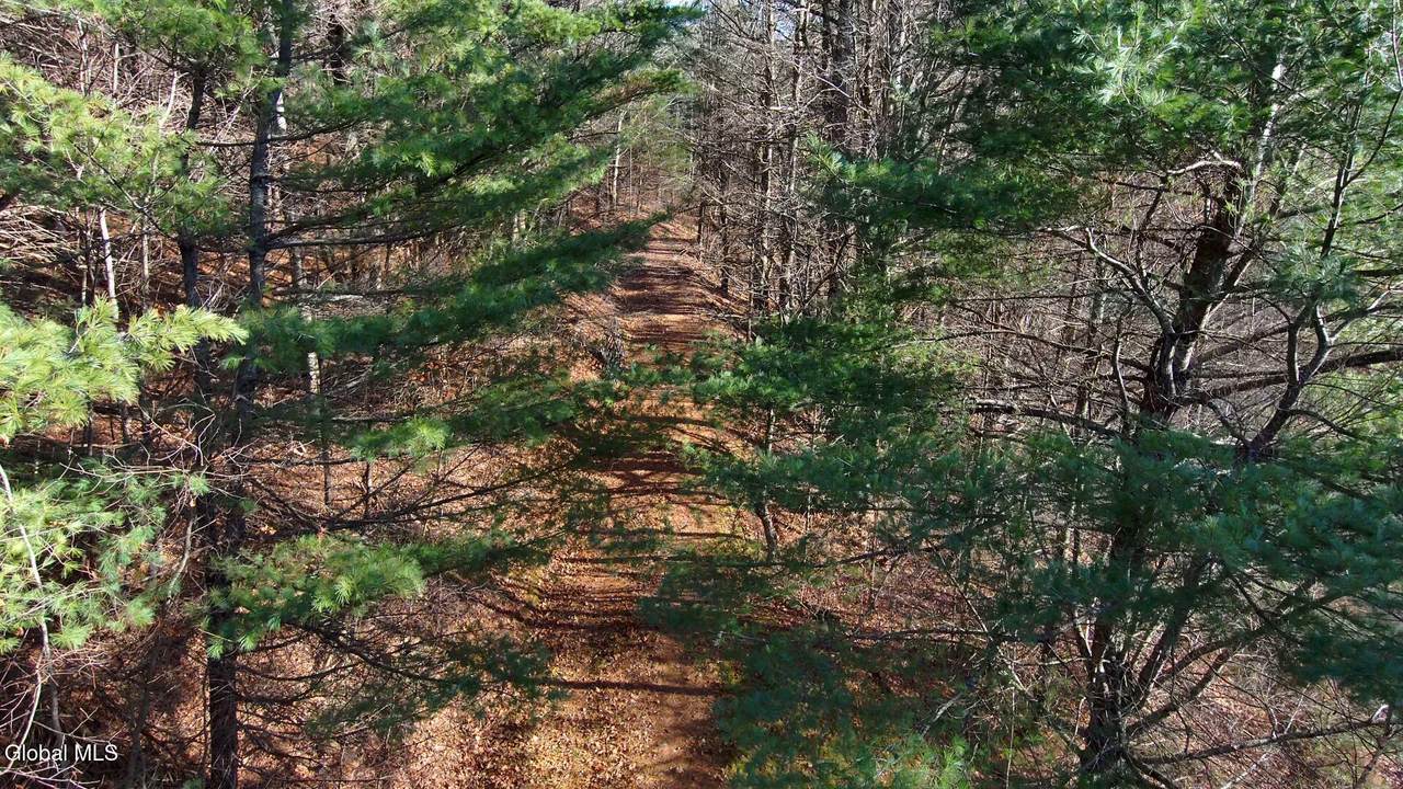 L12 Rebel Ridge - Photo 1