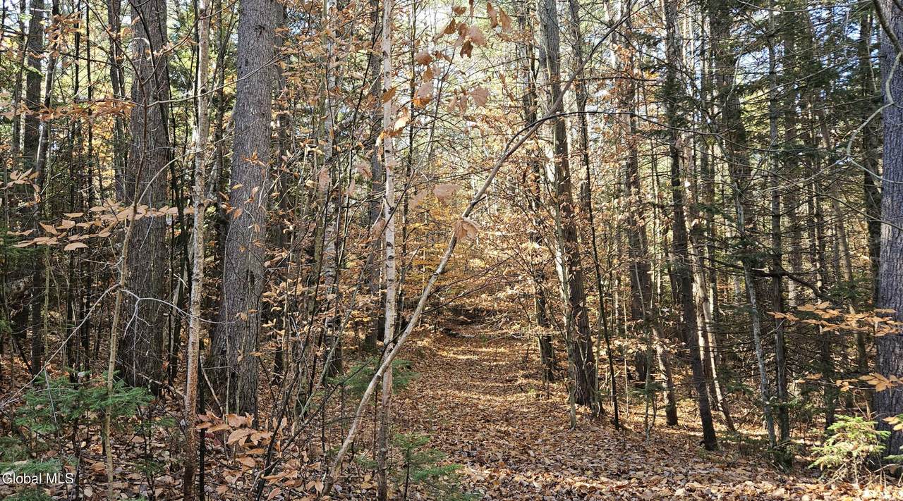 183 Mountain Path - Photo 1