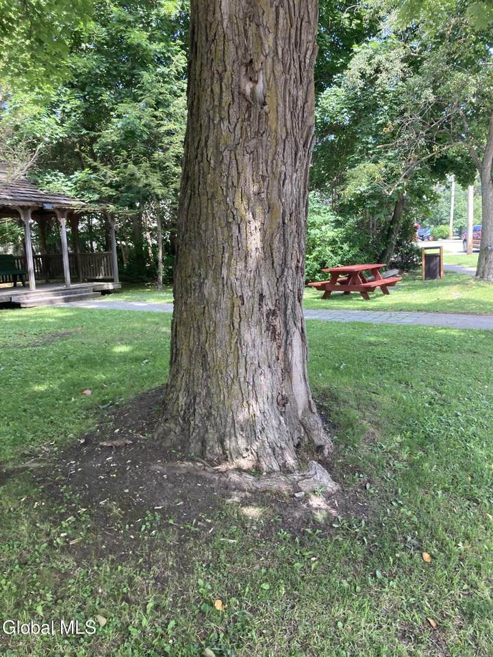 3 Main Street - Photo 1