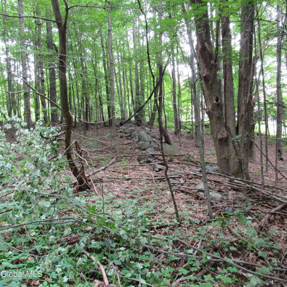 L11 Barker Road - Photo 1