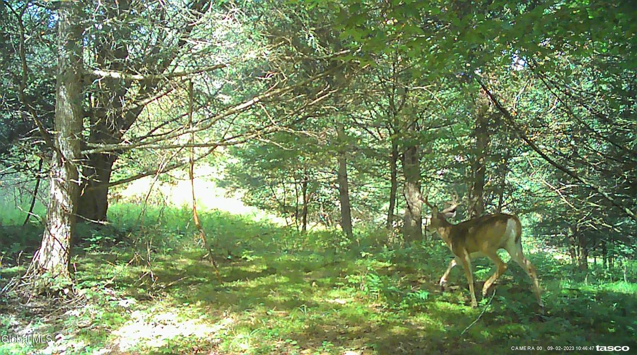 L5.12 Harpersfield Road - Photo 1