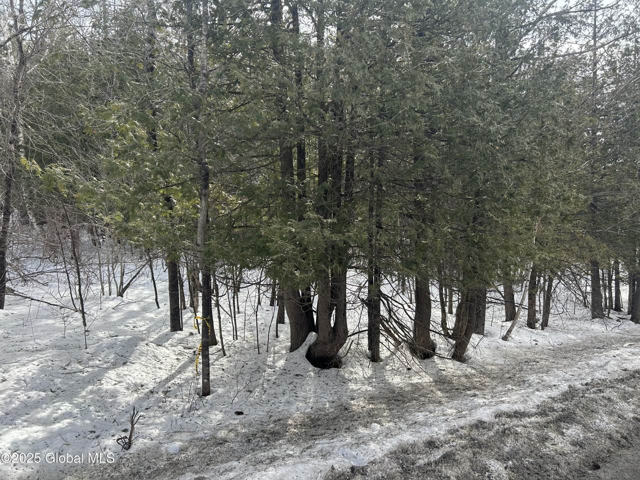 L24 Hogback Road - Photo 1