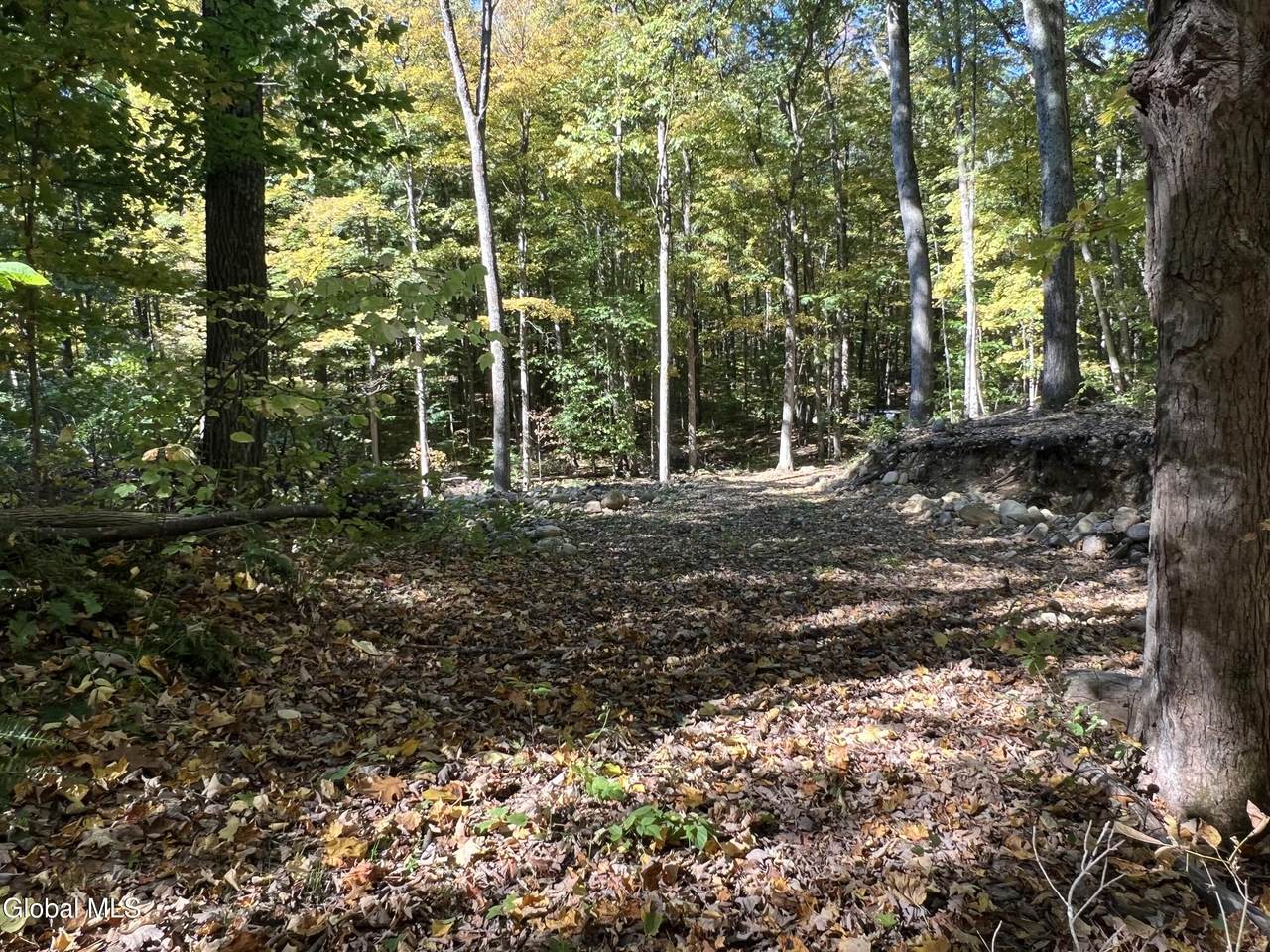 L3 Glen Lake Road - Photo 1