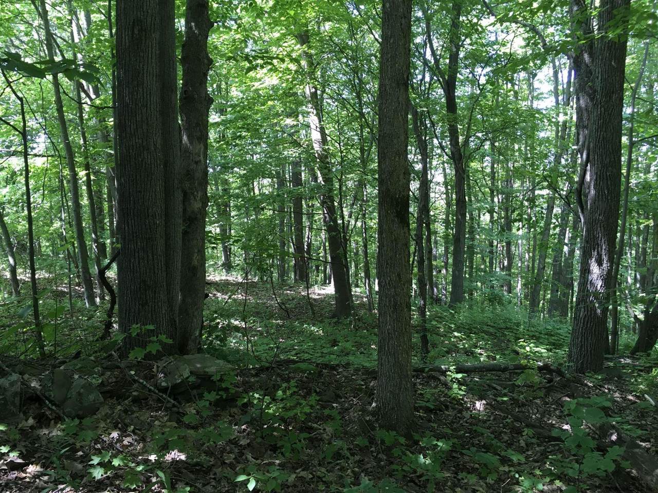 0 Barbin Rd - Photo 1