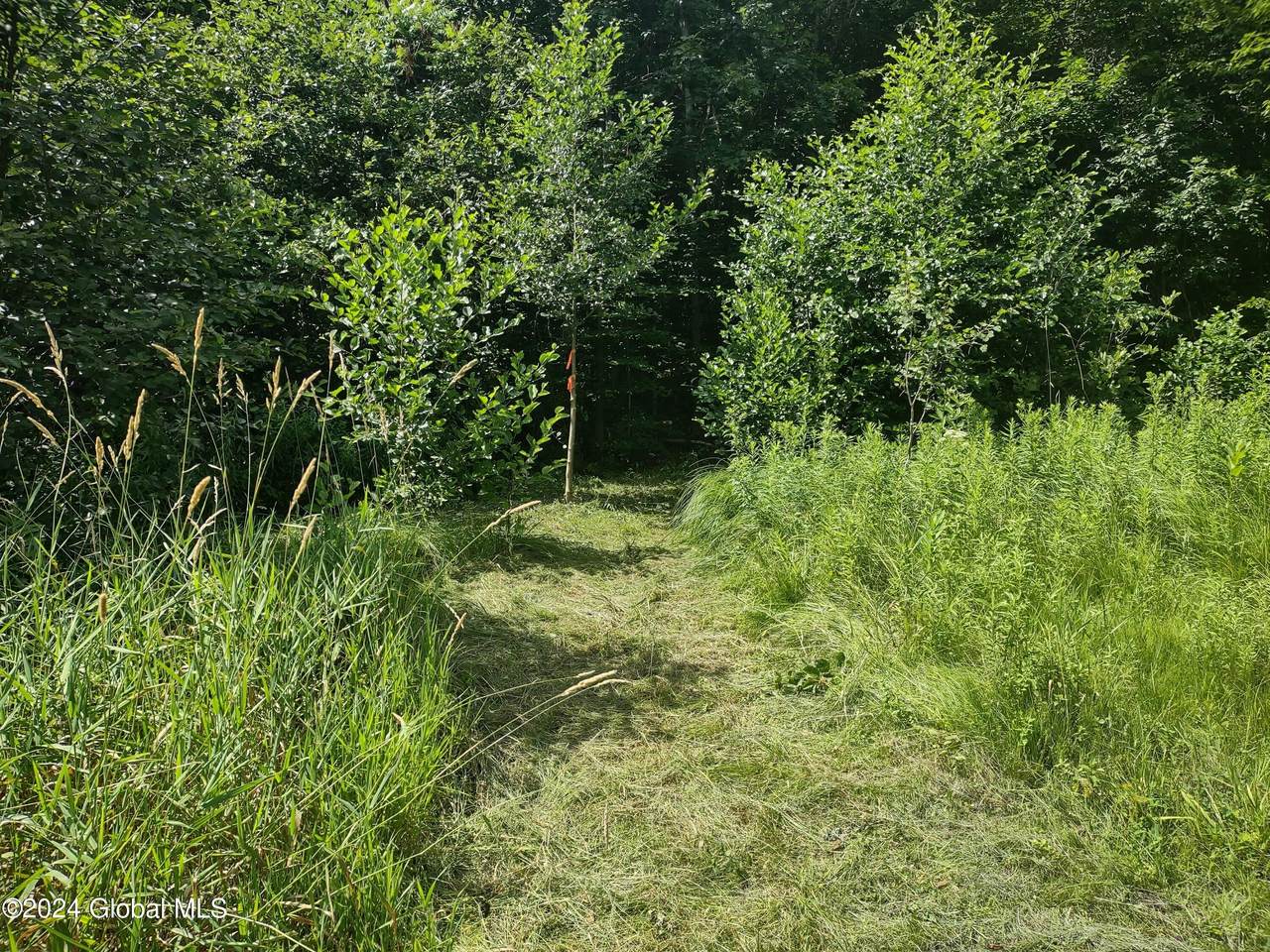 L35 County Highway 122 - Photo 1