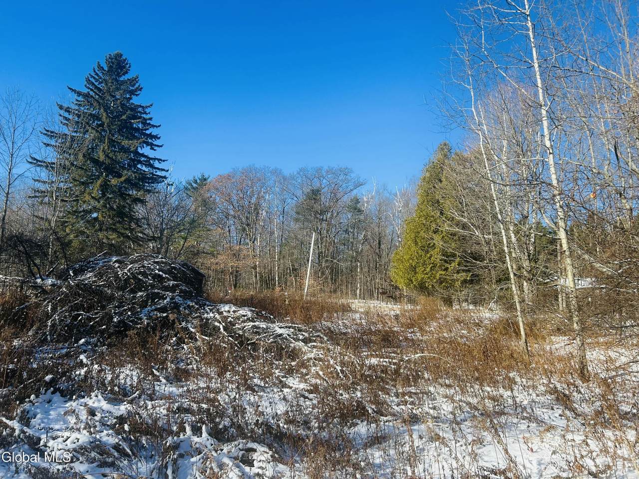 8976 Graphite Mountain Road - Photo 1