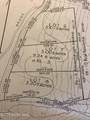 L828 Hendricks Road - Photo 11