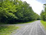 L93 Ruby Mountain View Drive - Photo 2
