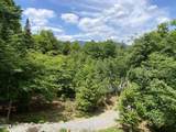 99 Mountain Path - Photo 118