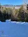 99 Mountain Path - Photo 125