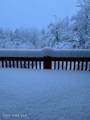 99 Mountain Path - Photo 129