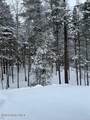 99 Mountain Path - Photo 130
