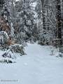 99 Mountain Path - Photo 153