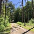 2123 Ensign Pond Rd Road - Photo 25