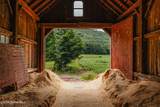 11609 County Road 18 - Photo 17