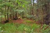 3-4 Adirondack Heights Road - Photo 10