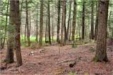 3-4 Adirondack Heights Road - Photo 4
