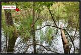 3-4 Adirondack Heights Road - Photo 7