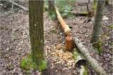 3-4 Adirondack Heights Road - Photo 9
