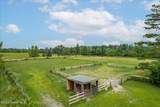 203 Waldenmaier Road - Photo 5