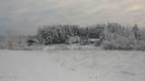 203 Waldenmaier Road - Photo 85