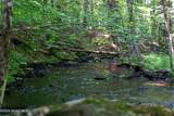 475 Greene Road - Photo 101