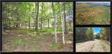 86 Carriage Knoll Road - Photo 1