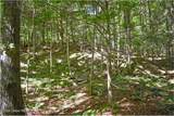 106 Carriage Knoll Road - Photo 24