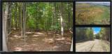 112 Carriage Knoll Road - Photo 1