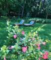 34 Ruggles Road - Photo 25