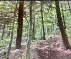95 Pond View Way - Photo 3